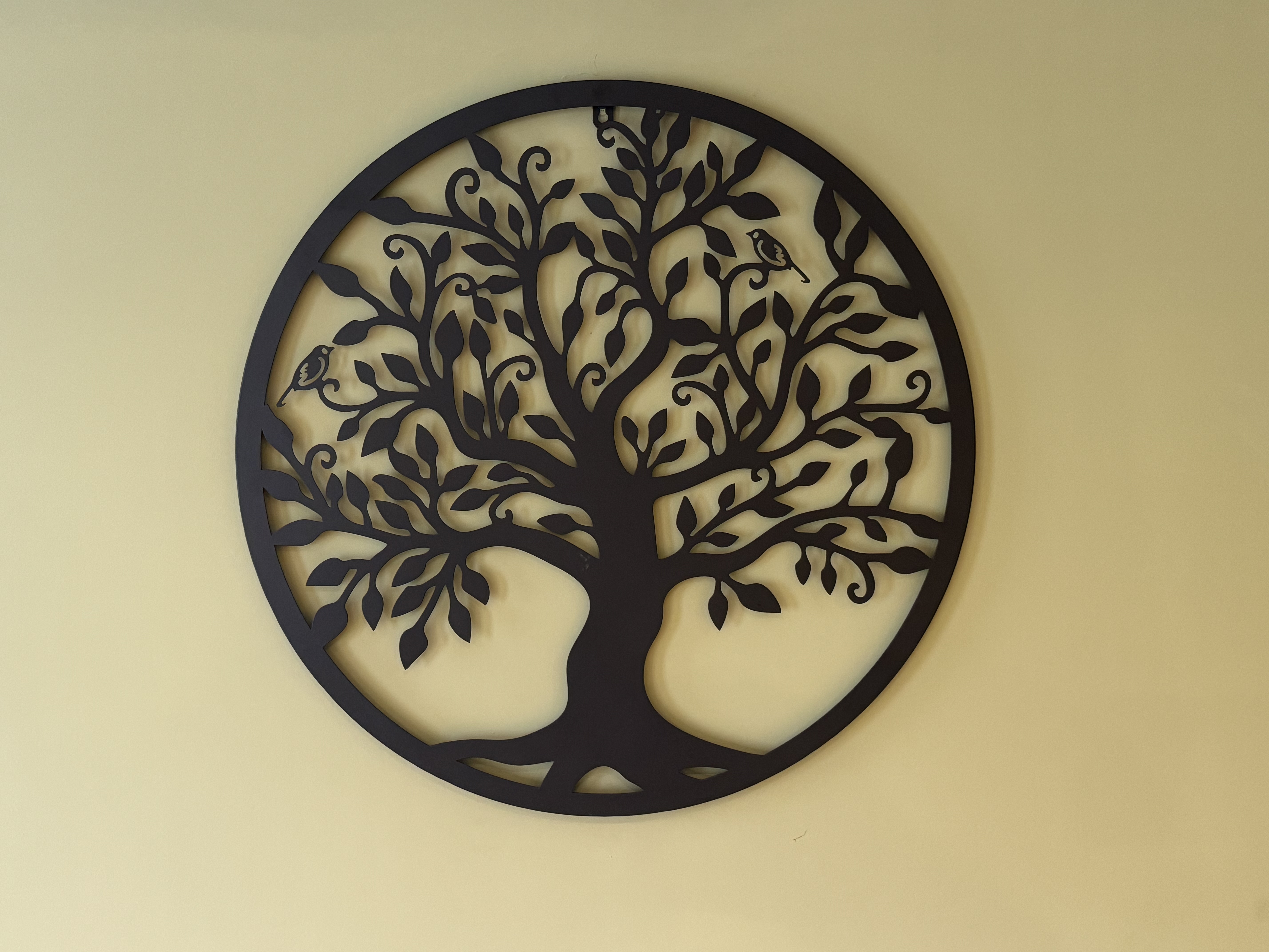 Secure
confidential
compassionate
guiding
accepting